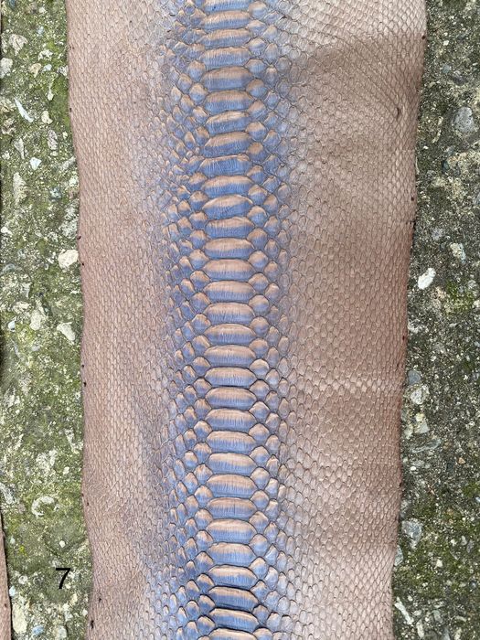 Естествена змийска кожа