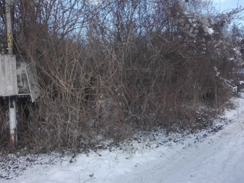 Продава се Парцел в с. Габер, Област София-област - 573 кв.м за 37 €/кв.м - Снимка #4