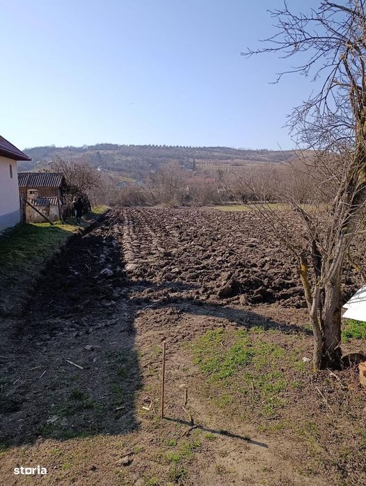 Teren intravilan de vânzare – Cadru natural deosebit | Borșa, Cluj