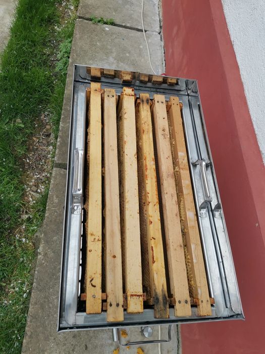 Topitor de ceara din inox