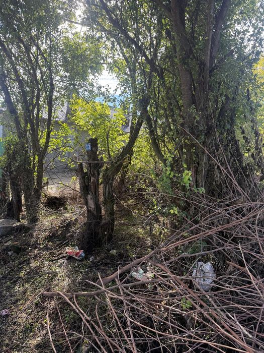 Vând teren intravilan 300mp com Iepuresti