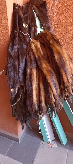 Меховые шкурки норки, горностая.