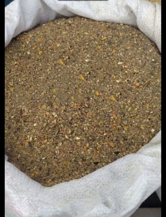 Корм для кур несушек