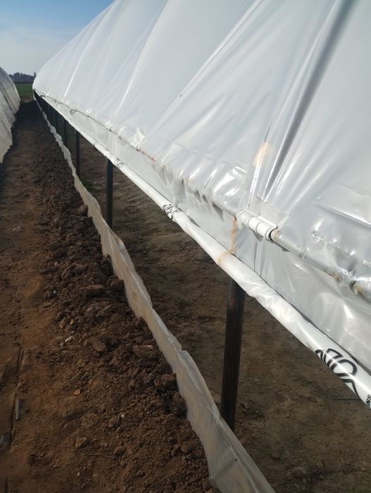 Sere și solarii ieftine complete