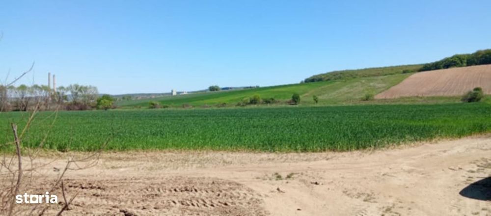 Teren intravilan, 41  ari, zona centurii
