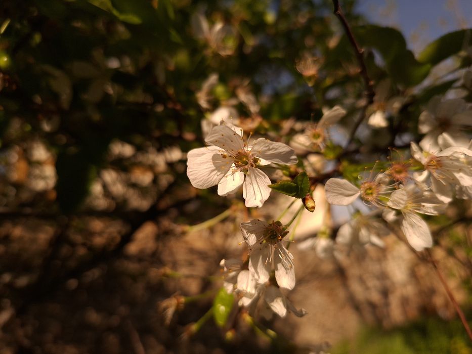 Обменяю самсунг а56 5джи