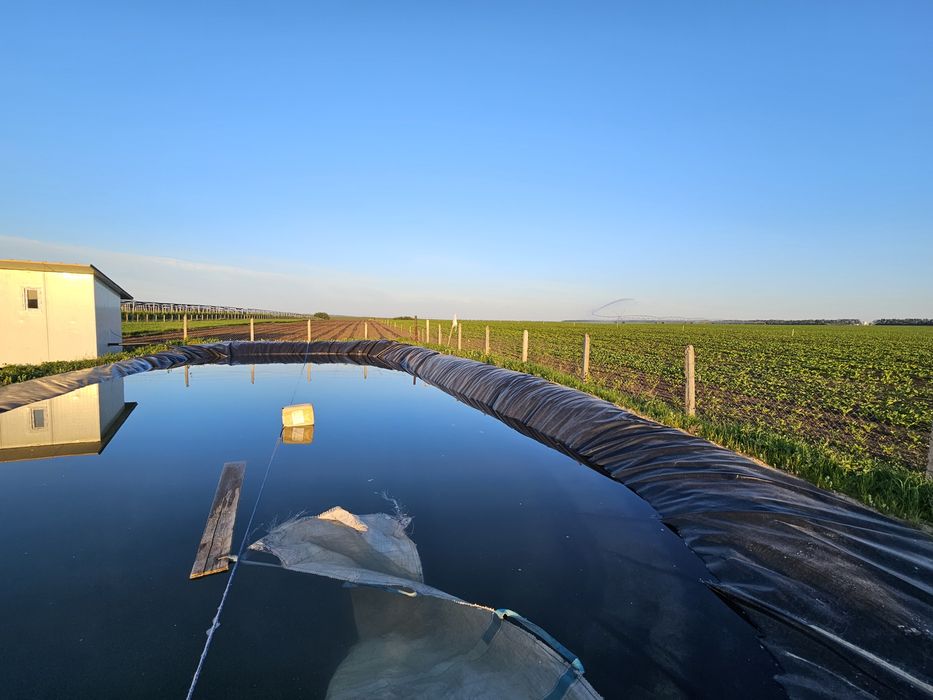 Servicii de termosudare și reparații geomembrane HDPE