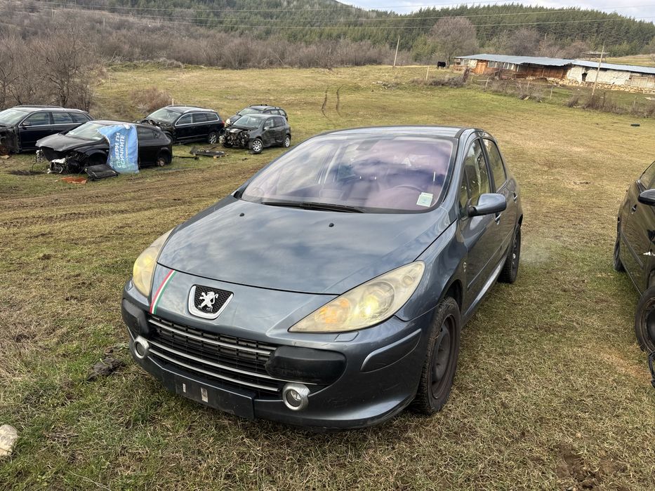 Peugeot 307 2.0HDI на части