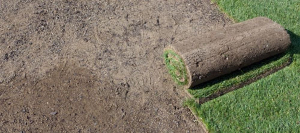 Pamant vegetal pentru gradina și curte
