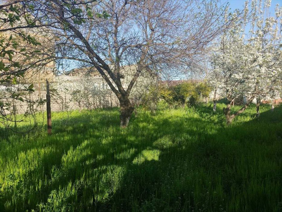 Участок в Чингельды