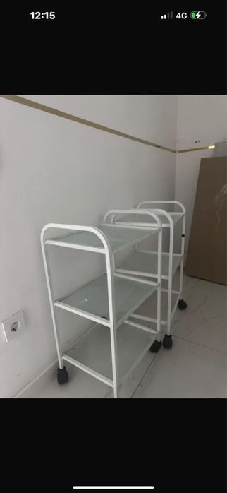 Стулья 2 шт салон