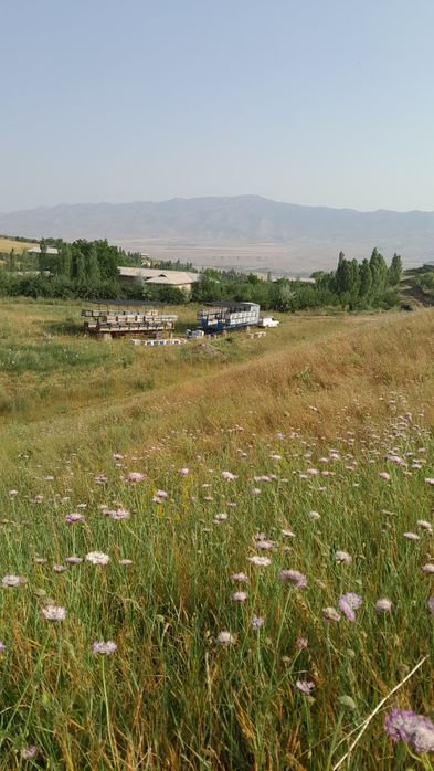 Pavilion sz xoxlagandek