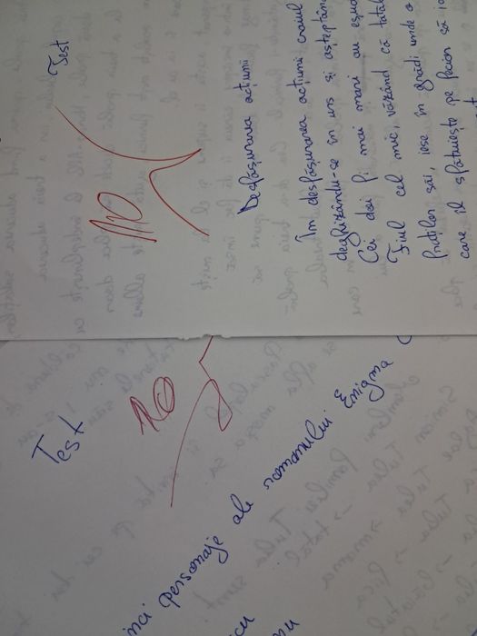 Meditații Bac Română, Istorie și Geografie