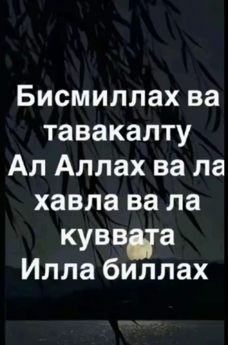 Трезвый водитель самарканд перегон 24/7