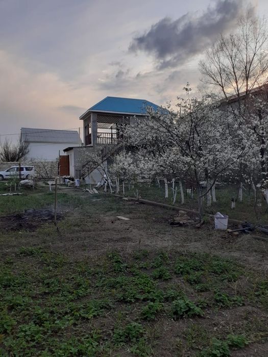 Дача в районе Черной речки