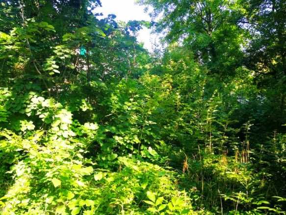 Продава се Парцел в с. Панчарево, Област София-град - 1100 кв.м за 204 €/кв.м - Снимка #4