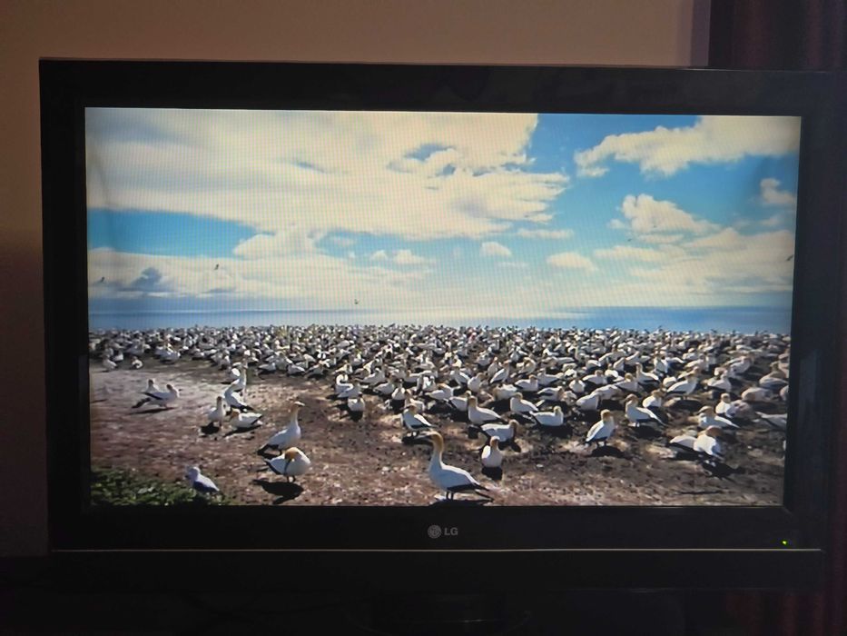 Телевизор 37 инча LG 37LC51