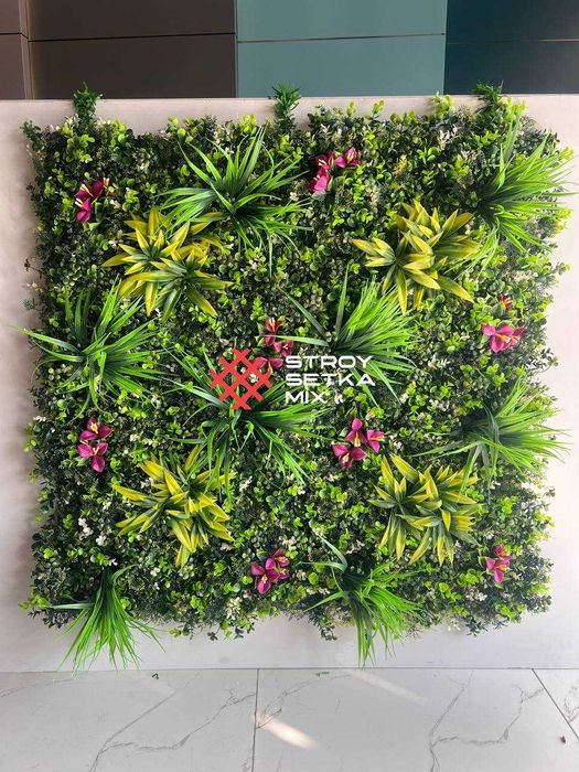 Вертикальное Озеленение стены - Растения на Стену – Фитостена