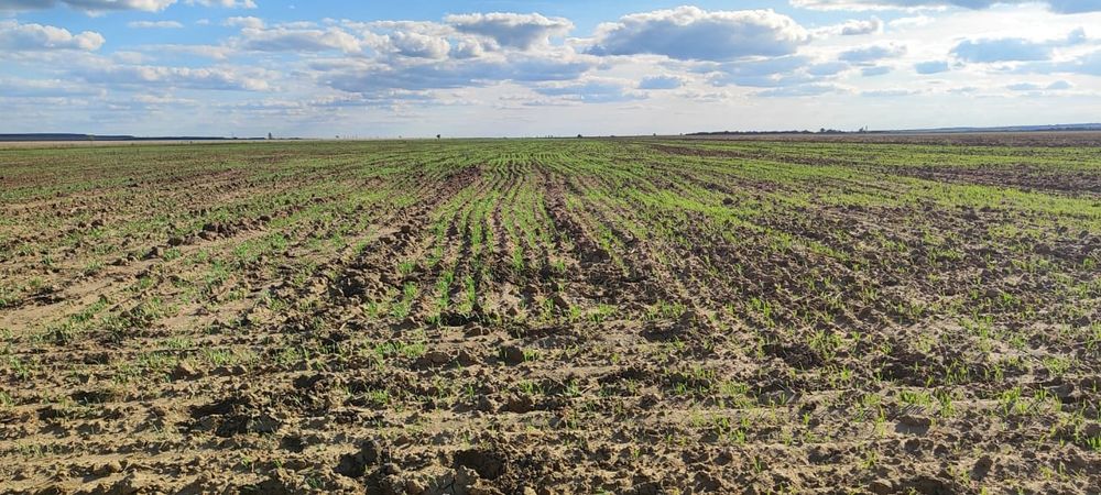 Продам землю 450 гектар