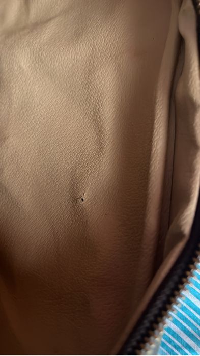 Geanta  Louis Vuitton