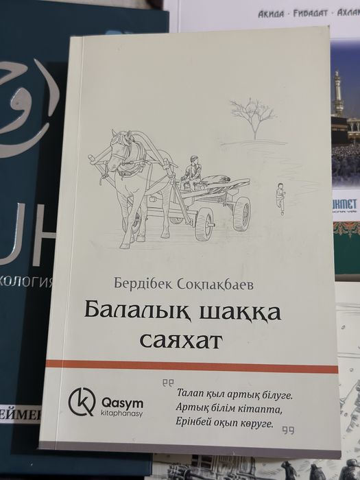 Балалық шаққа саяхат кітабы