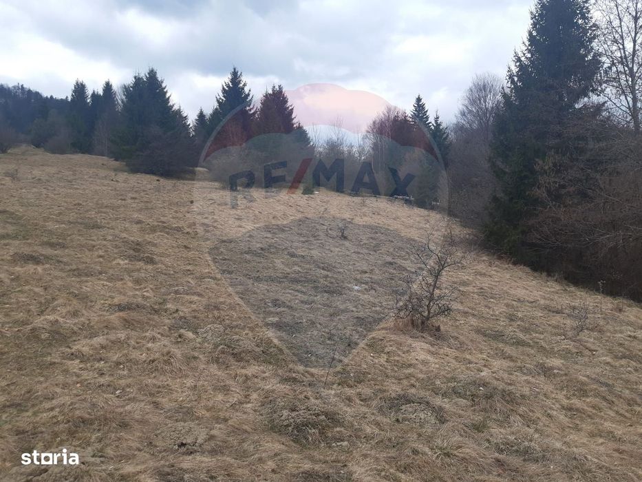 Teren Rasnov, Soseaua Predealului DN73B