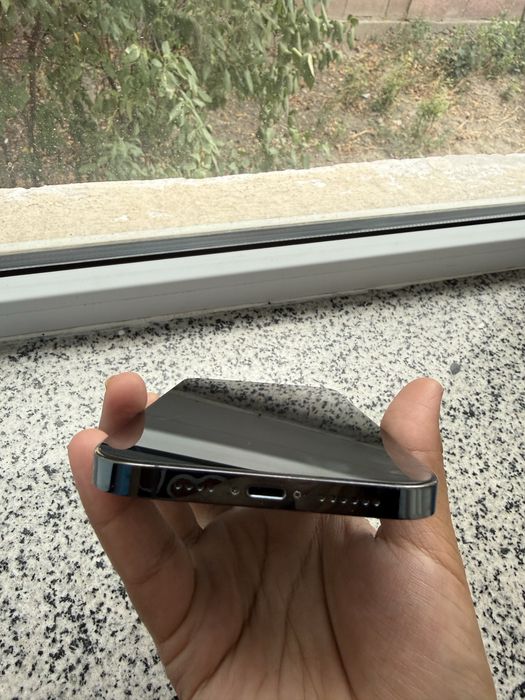 iPhone 12 Pro Max
