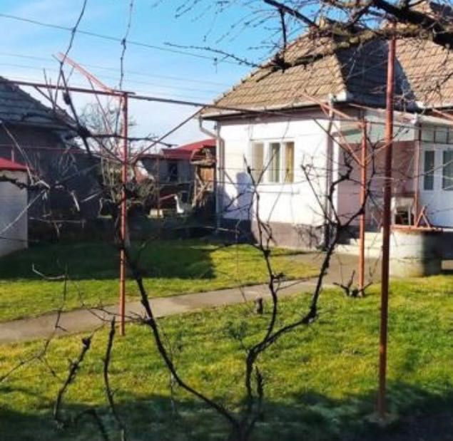 Vând casă în Cristești