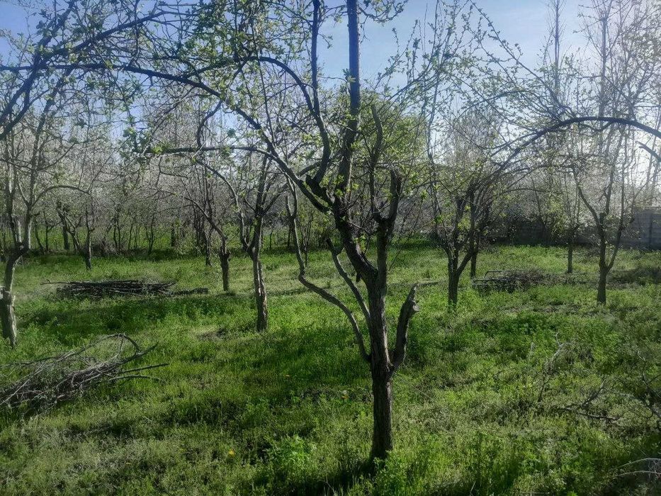 ЕР СОТИЛАДИ срочно келишамиз