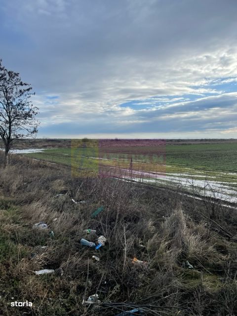 Teren Mihailesti E70- DN6 langa Dovinot.