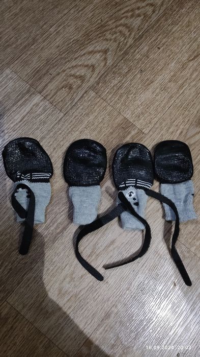 Носочки для собаки