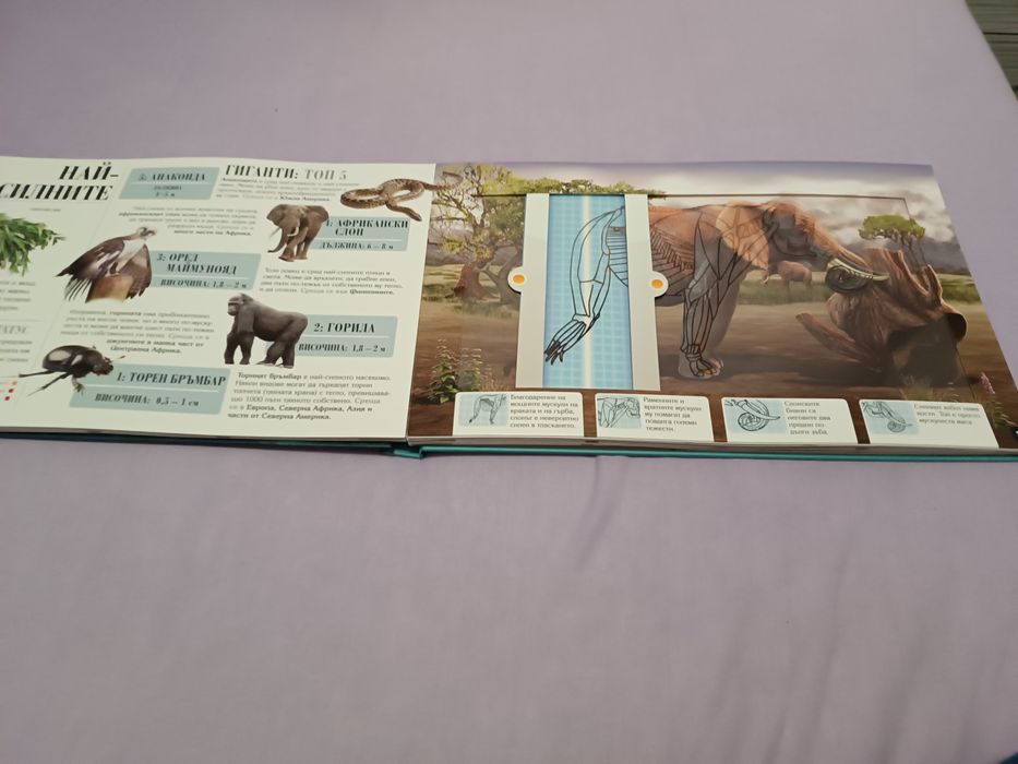 Енциклопедия за животни