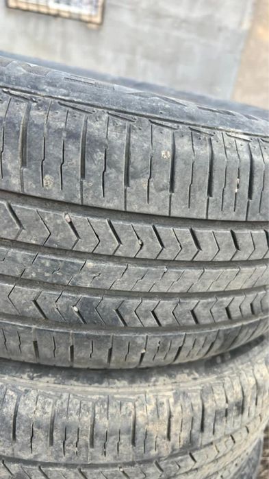 Жағыдайы жақсы!