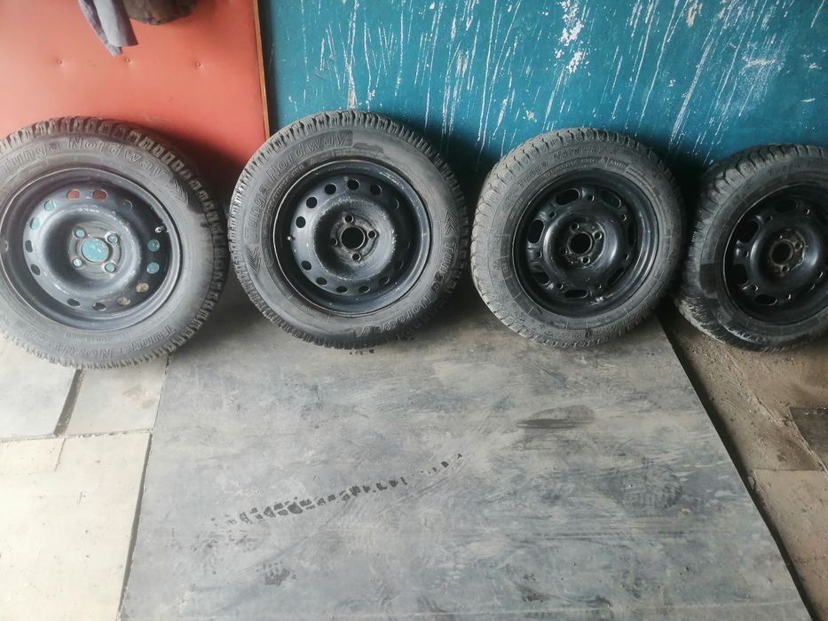 Продам зимный ризина