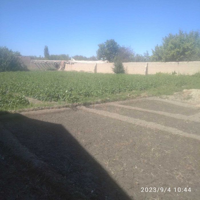 Navoiy viloyat Navbahor tumani G'ujboqtepa mahallasidan hovli sotiladi