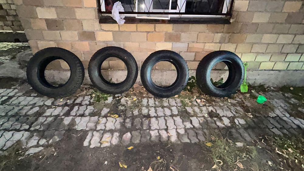 Зимние шины Green-Max 245/65R17