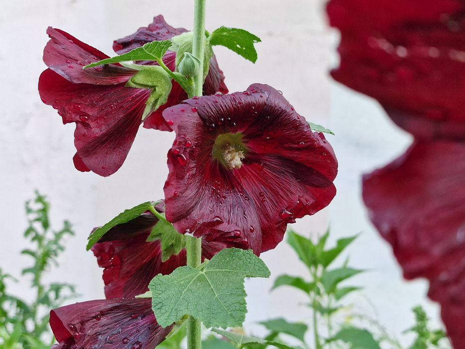 Продам samsung s22ultra