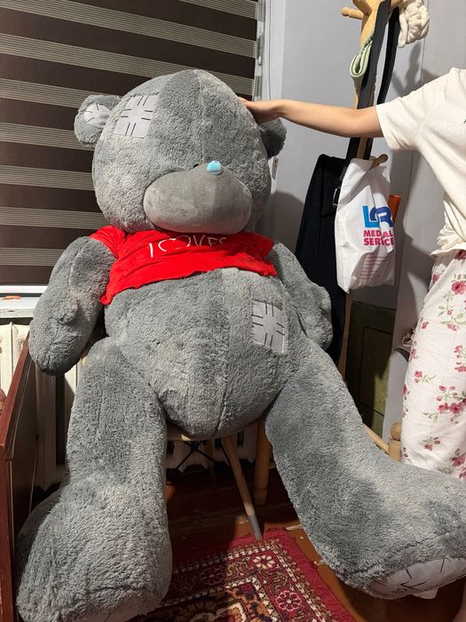 Ayiq teddy eng kottasi