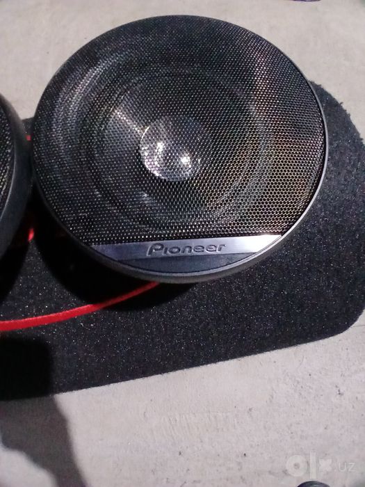 Pioneer kalonka 10 sm lik
