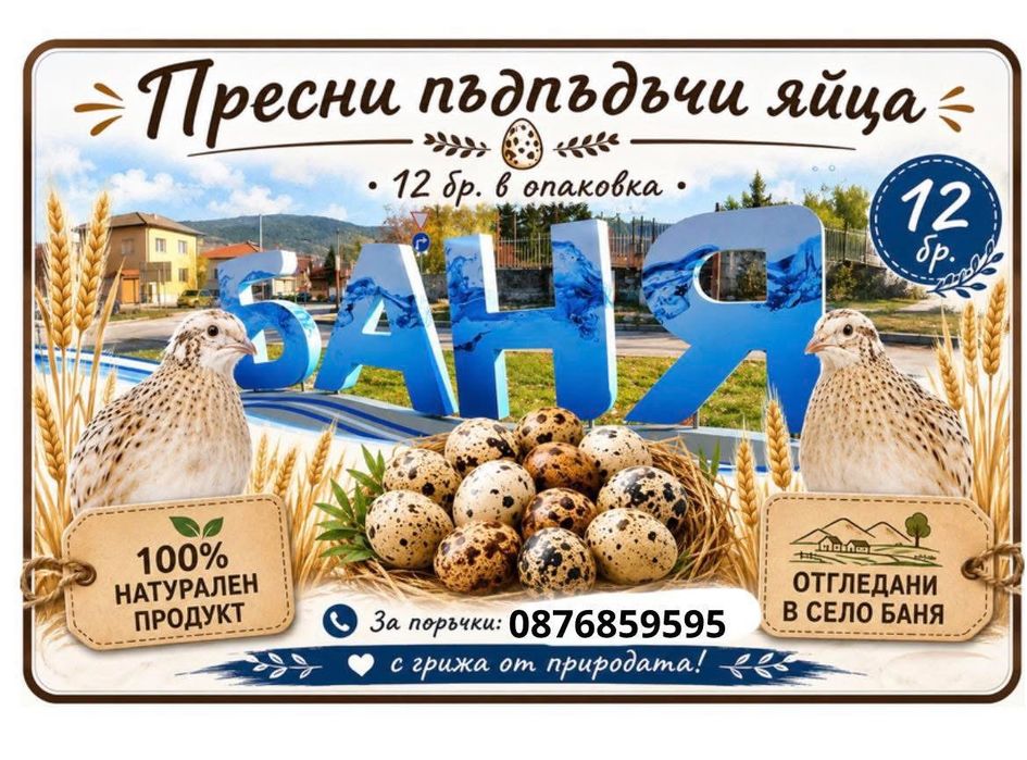 Яйца от пъдпъдъци. Пъдпъдъчи яйца.