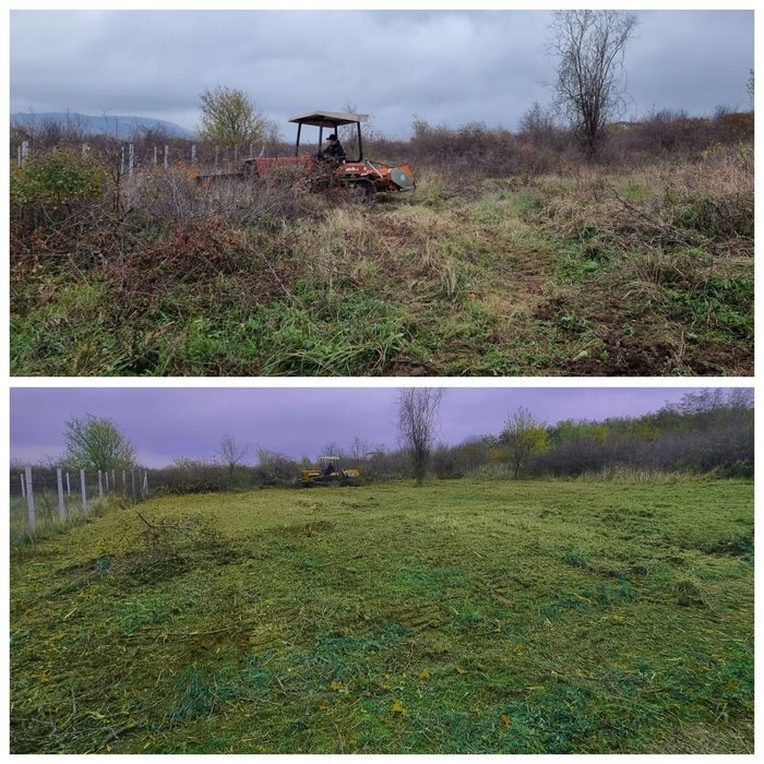 Curatare, întretinere teren, Defrisare, Tocare forestiera, vegetala,