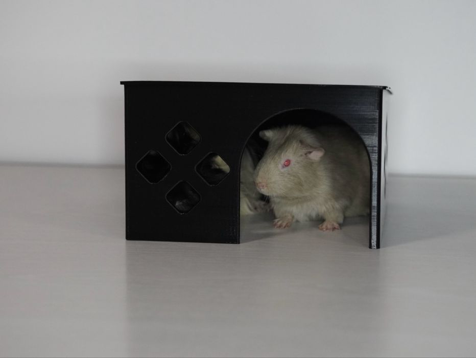 Căsuță printată 3D pentru animăluțe