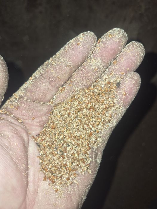 Отхот Пшено с шлухои 1000 тенге