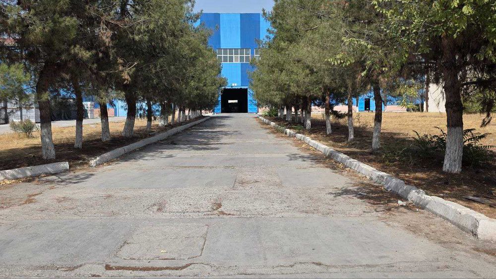 Bino+Yer maydoni(Omborxona yoki ishlab chiqarish,uy qurish uchun)