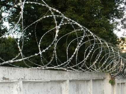 Егоза yegoza egoza igoza tikanli sim проволока колючая