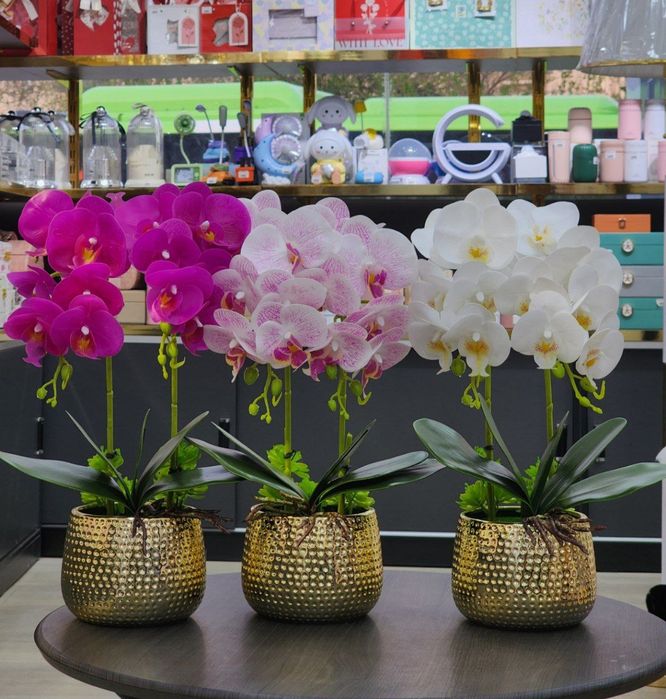 Орхидея  качество  люкс