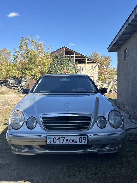 Продам или обмен живого Лупаря