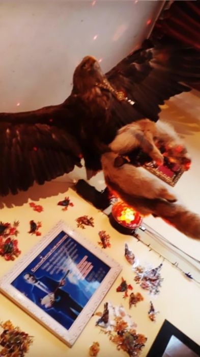 БЕРКУТ очень красиво.