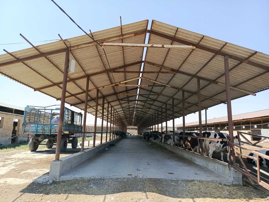 Ферма 3.5 Га город Каттакурган цена 450 000 уе торг есть