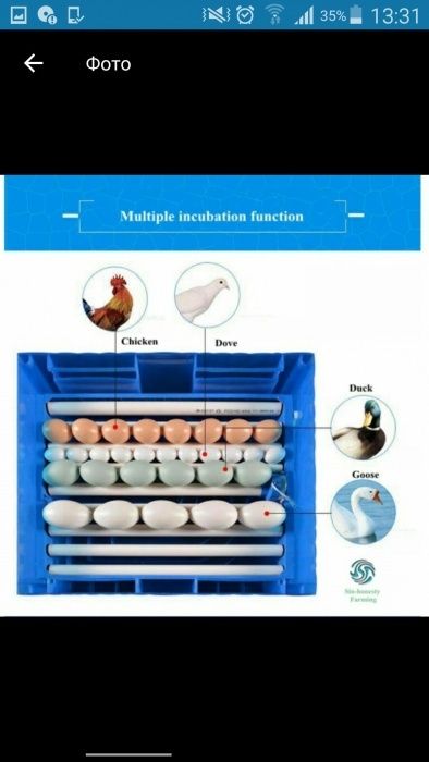Инкубатор на 192 яи́ца. Inkubator. Есть в наличии.